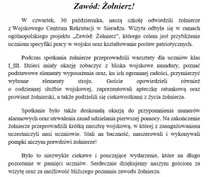 Zawód - Żołnierz!